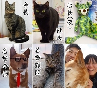 スタッフ紹介